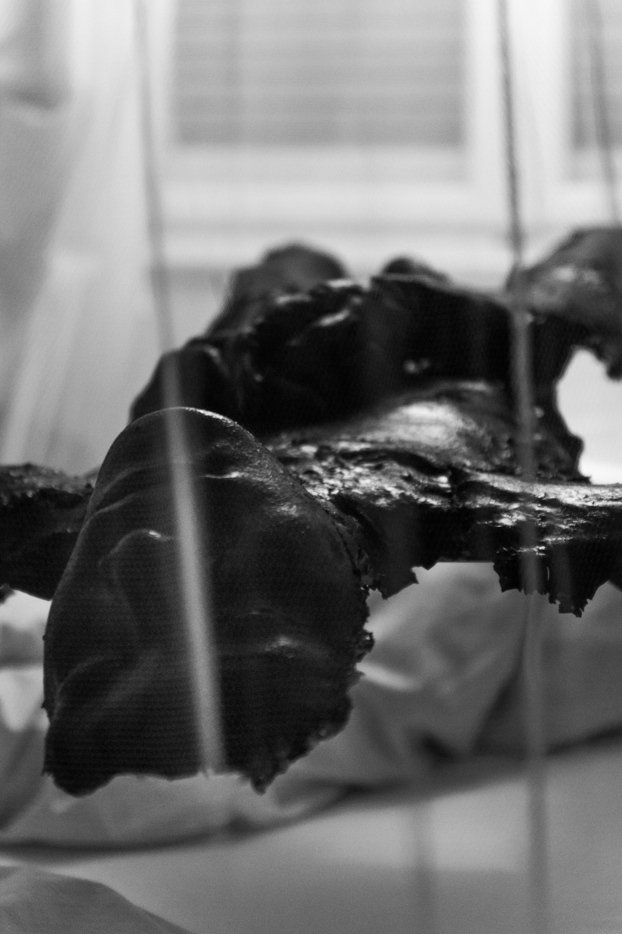 Light Sleeper (2015): Installation View