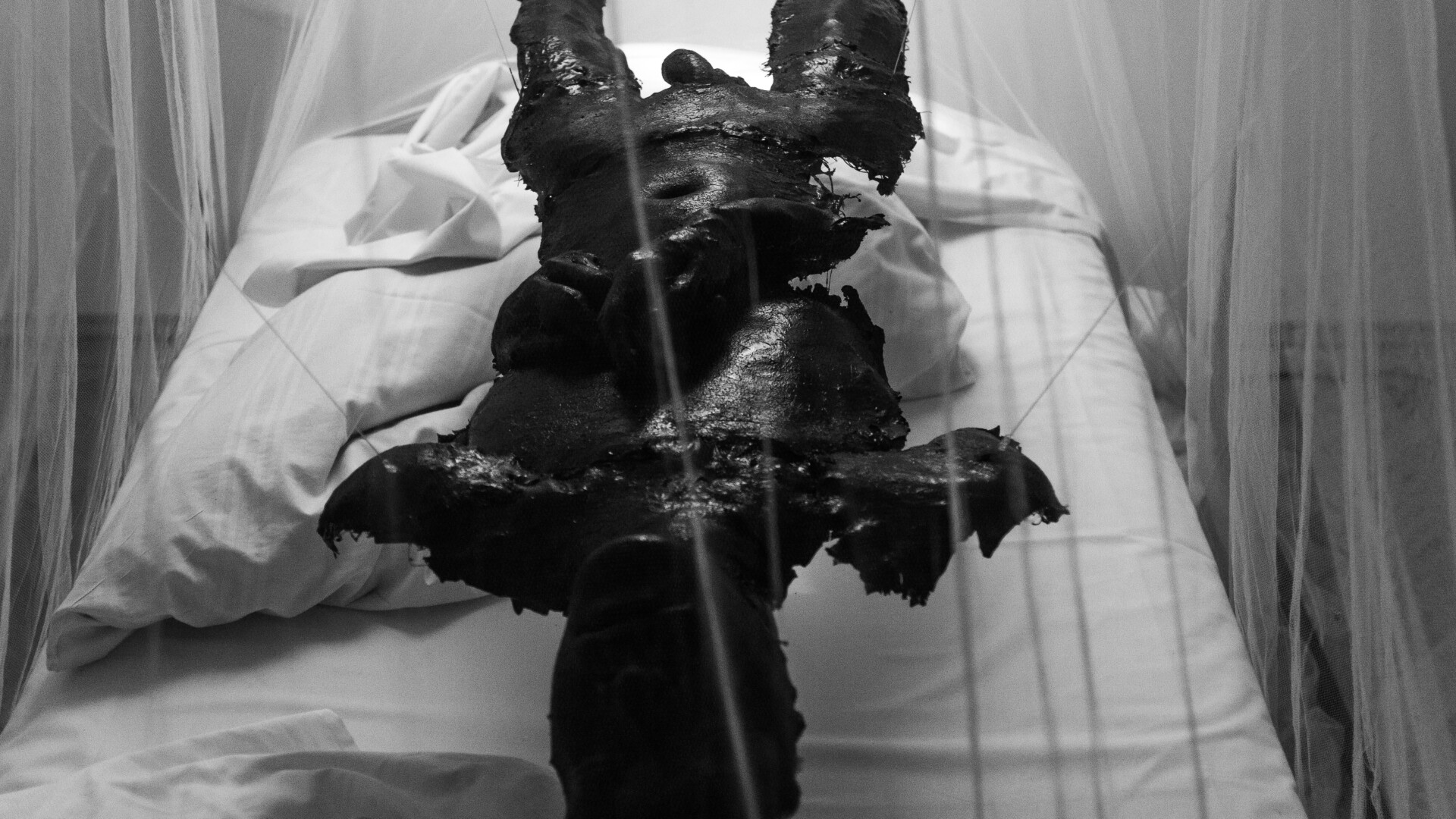 Light Sleeper (2015): Installation View